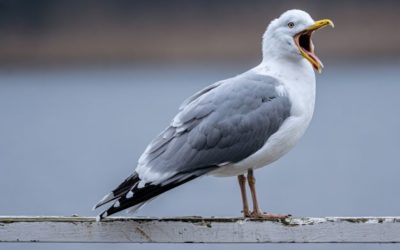 A plastic pollution development we should know about